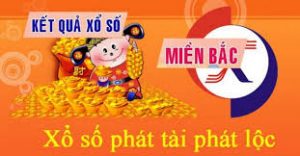 Dự đoán xổ số 11/11